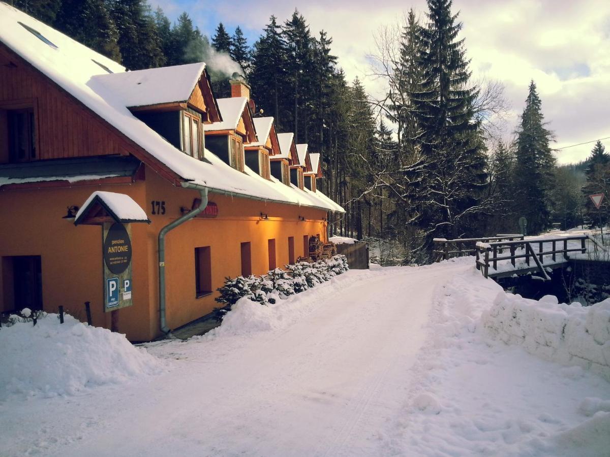 Penzion Antonie Hotel Malá Morávka Exterior foto